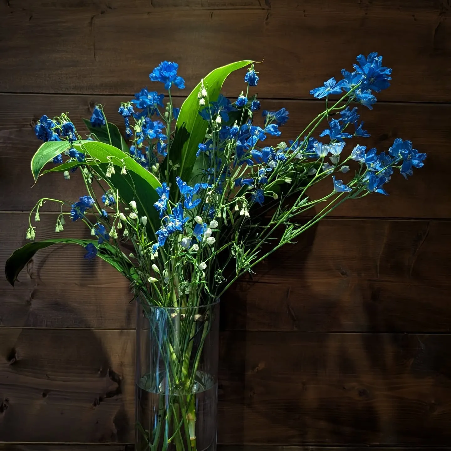 【新橋】【バー】ゴールデンウィーク真っ只中です